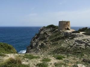 IMG_5466 (Medium)
